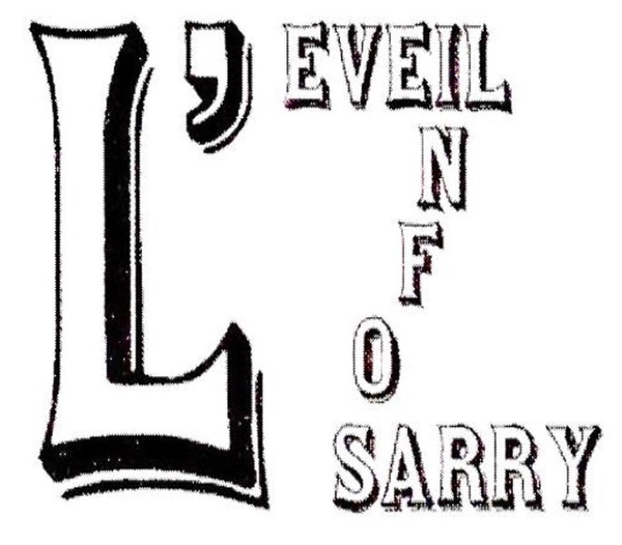 Eveil Infos Sarry Logo
